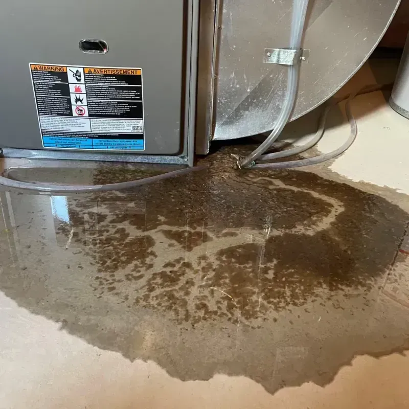 Appliance Leak Cleanup in Chualar, CA